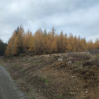 Wandernadel Tour "Trautenstein"