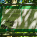 Wandernadel Tour "Scharzfels II"