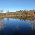 Wanderung Tour "Prinzenteich"