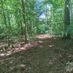Wandernadel Tour "Scharzfels II"