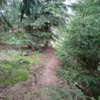 Wanderung Tour "Hassel-Vorsperre"