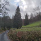 Wandernadel Tour "Hohegeiß"