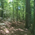 Wandernadel Tour "Scharzfels II"