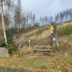 Wandernadel Tour "Hohegeiß"