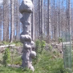 Wanderung Tour Wurmberg II