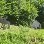 Wandernadel Tour "Scharzfels II"