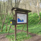 Wanderung Karstwanderweg "Reesbergdoline & Glockensteine"