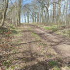 Wanderung Karstwanderweg "Reesbergdoline & Glockensteine"