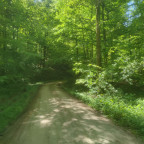 Wanderung Harz Vorland III - Wöltingerode