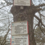 Wanderung Harz Vorland II - Reihersee