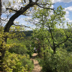 Wandernadel Tour "Falkenstein"