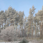 Wandernadel Tour "Regenstein"