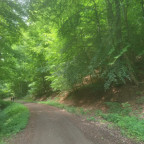 Wanderung Harz Vorland IV - Wittmar (Asse)