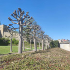 Wandernadel Minitour "Blankenburg III"