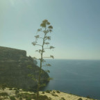 Valetta - Blaue Grotte & Hagar Qim