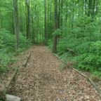 Wandernadel Auto-/Wandertour Lutherweg