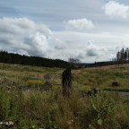 Wandernadel Tour "Sophienhof"