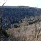 Wanderung Minitour "Hahnenkleeklippen"