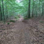 Wandernadel Tour "Altarklippe"