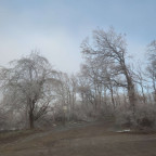 Wandernadel Tour "Regenstein"