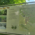 Wanderung Harz Vorland IV - Wittmar (Asse)