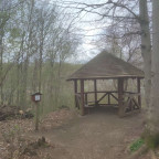 Wanderung Harz Vorland II - Reihersee