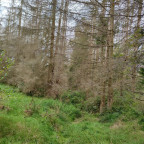 Wanderung Tour "Hassel-Vorsperre"