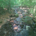 Wandernadel Tour Ilsenburg II