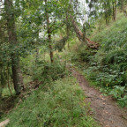 Wanderung Tour "Kapitelsberg"