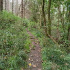 Wanderung Tour "Kapitelsberg"