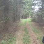 Wanderung Tour Königskrug
