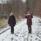 Wandernadel Tour "Burgberg"