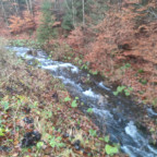 Wandernadel Tour "Hohegeiß"