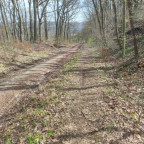 Wanderung Karstwanderweg "Reesbergdoline & Glockensteine"