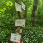 Wandernadel Auto-/Wandertour Lutherweg
