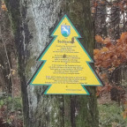 Wandernadel Tour "Hohegeiß"