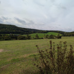 Wanderung Tour "Bisongehege"