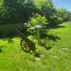 Wandernadel Tour "Scharzfels II"