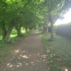Wanderung Harz Vorland IV - Wittmar (Asse)