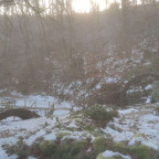 Wandernadel Tour "Regenstein"