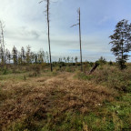 Wanderung Tour "Schirm Ballenstedt"