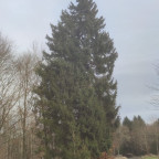 Wandernadel Tour "Dreiherrenstein"