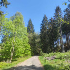 Wanderung Tour Wurmberg II