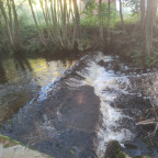 Wanderung Tour Steinerne Renne