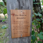Wandernadel Tour "Braunlage Silberteich"