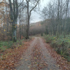 Wandernadel Tour "Hohegeiß"
