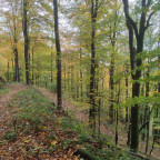 Wandernadel Tour "Ravensberg"