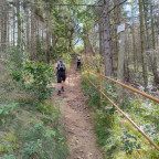 Wandernadel Tour "Elverstein"