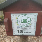 Wanderung Harz Vorland II - Reihersee
