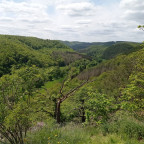 Wandernadel Tour "Falkenstein"